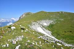 178: DSC_1296