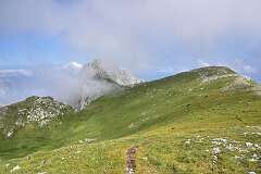 179: DSC_1297