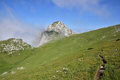 180: DSC_1298