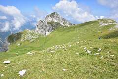 196: DSC_1315