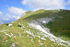 200: DSC_1319