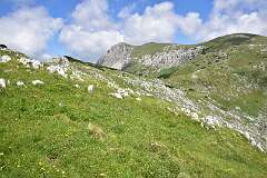 203: DSC_1322
