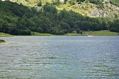 209: DSC_1338