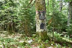 210: DSC_1339