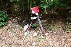216: DSC_1345