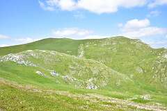 239: DSC_1382