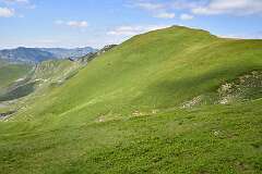 241: DSC_1384