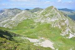 247: DSC_1390