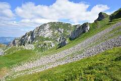 248: DSC_1391