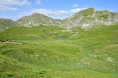 249: DSC_1392