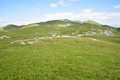 251: DSC_1394