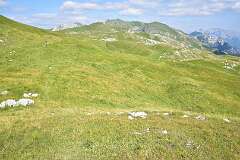 253: DSC_1406