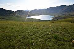 257: DSC_1410