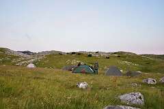 258: DSC_1411