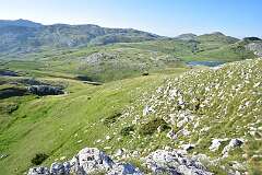 261: DSC_1416