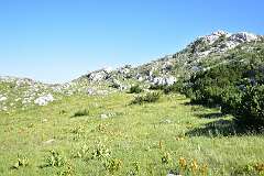 266: DSC_1421