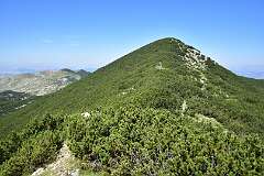 272: DSC_1427
