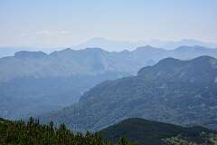 276: DSC_1431