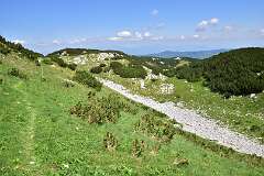 281: DSC_1436
