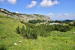 283: DSC_1438
