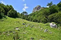 284: DSC_1439
