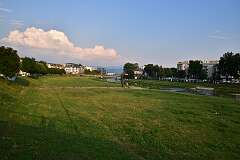 287: DSC_1442