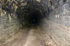 294: DSC_1453
