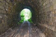 296: DSC_1457