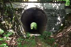 306: DSC_1474