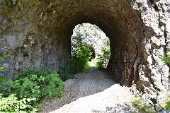 310: DSC_1478