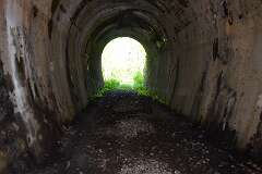 311: DSC_1479