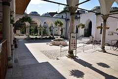 342: DSC_1519