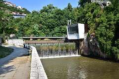 344: DSC_1521