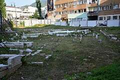 348: DSC_1530