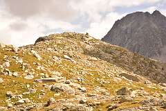 36: DSC_1654