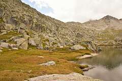 49: DSC_1684