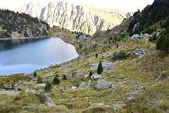 78: DSC_1726