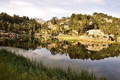 120: DSC_1775