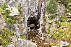 121: DSC_1776