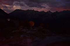154: DSC_1837