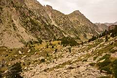 167: DSC_1852