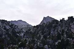 193: DSC_1881