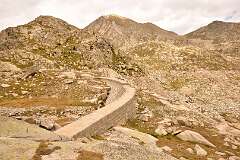 207: DSC_1896
