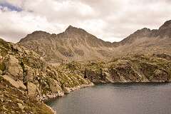 215: DSC_1906