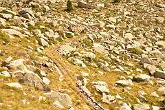 217: DSC_1908