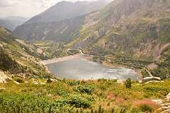227: DSC_1920