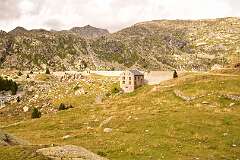 232: DSC_1925