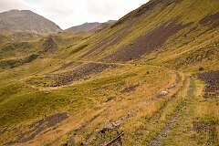 238: DSC_1932