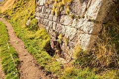 242: DSC_1936