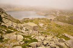251: DSC_1943